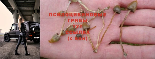 мяу мяу мука Алексин