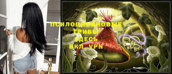гидропоника Алексеевка